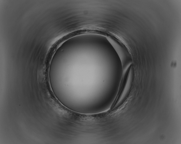 X0000091670971200708231325