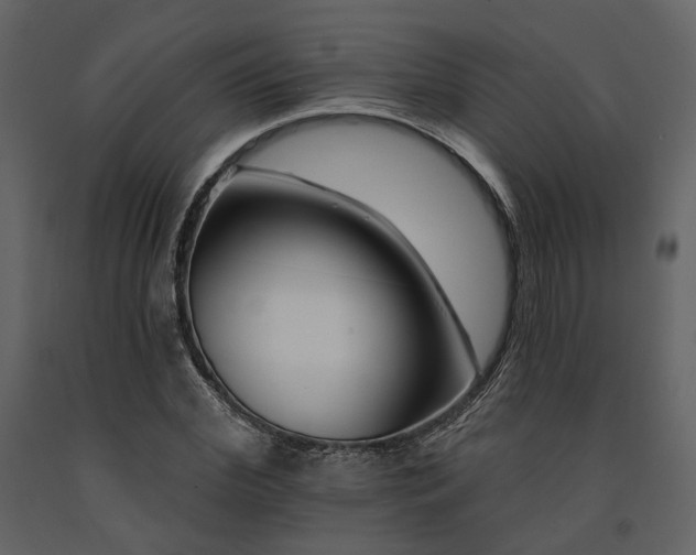 X0000091670972200708231325