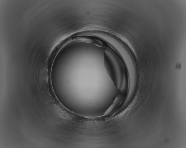 X0000091670973200708231325