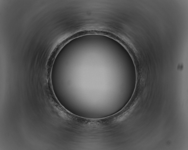 X0000091670974200708231325