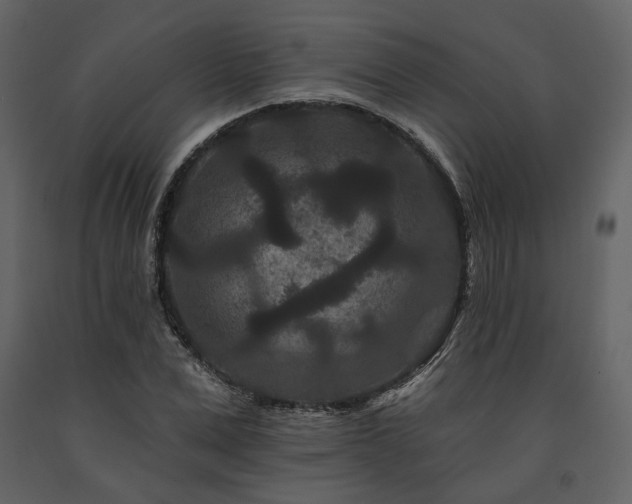 X0000091670975200708231325