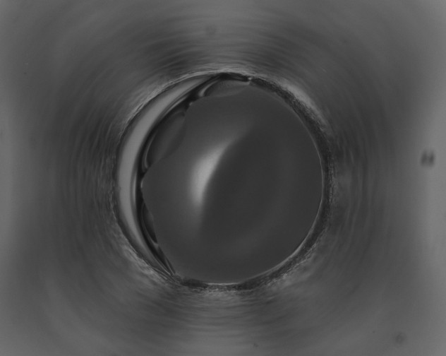 X0000091670977200708231325
