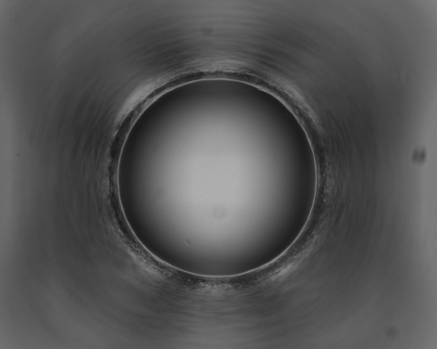 X0000091670978200708231325