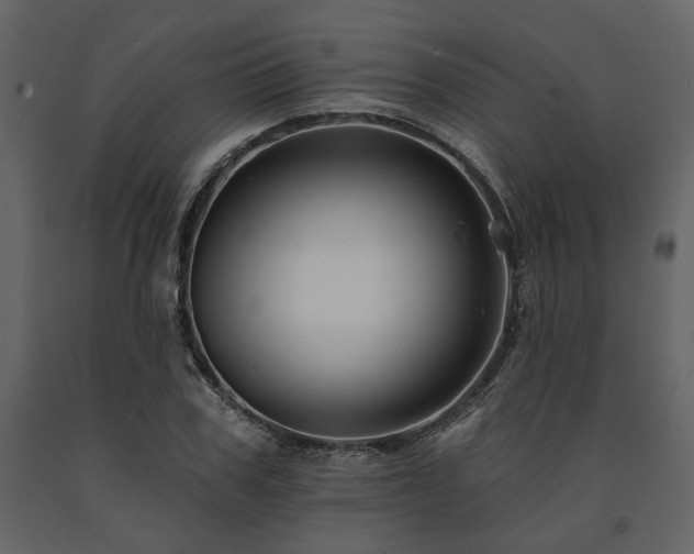 X0000091670979200708231325