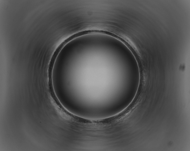 X0000091670980200708231325