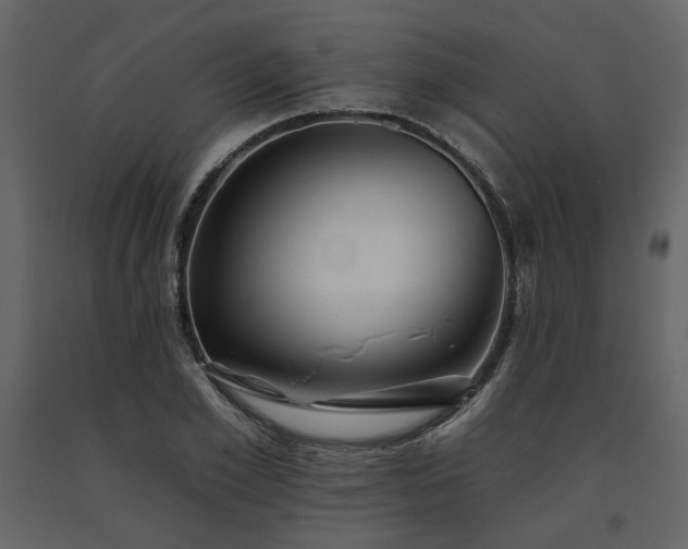 X0000091670981200708231325