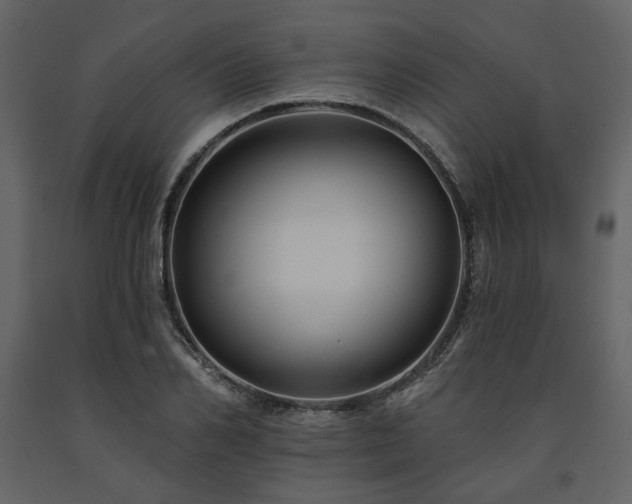 X0000091670982200708231325