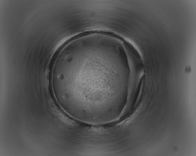 X0000091670983200708231325