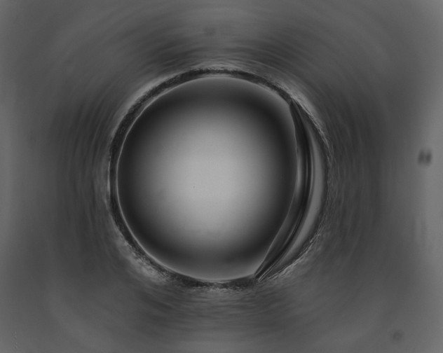 X0000091670984200708231325