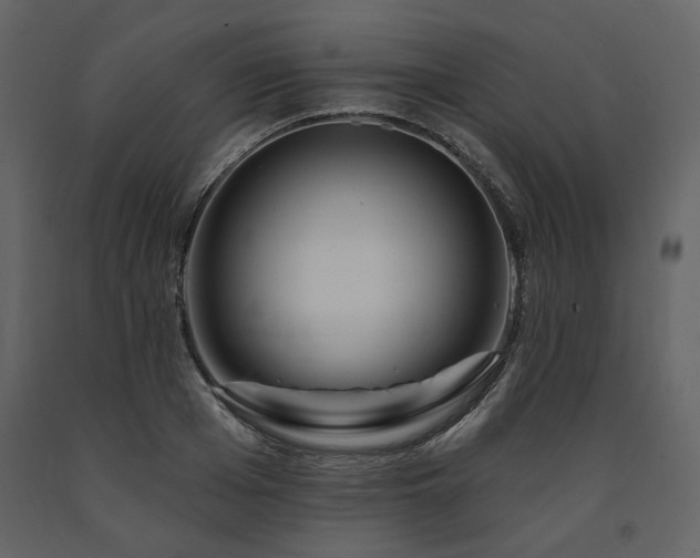 X0000091670985200708231325
