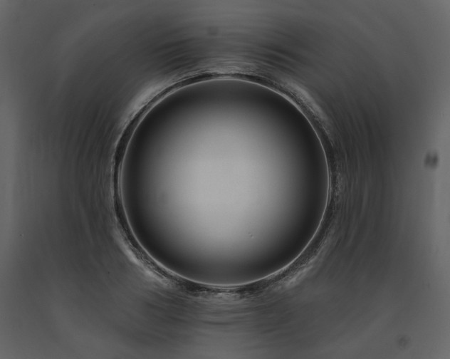 X0000091670986200708231325