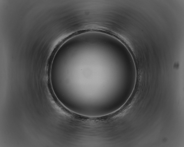 X0000091670987200708231325