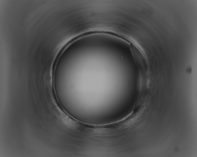 X0000091670988200708231325