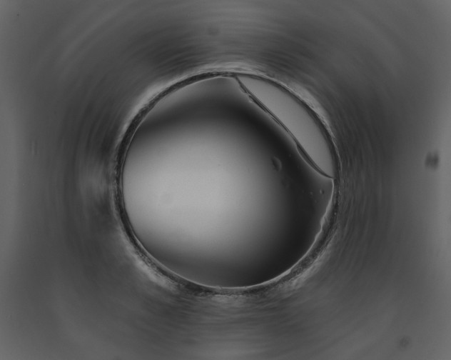 X0000091670989200708231325