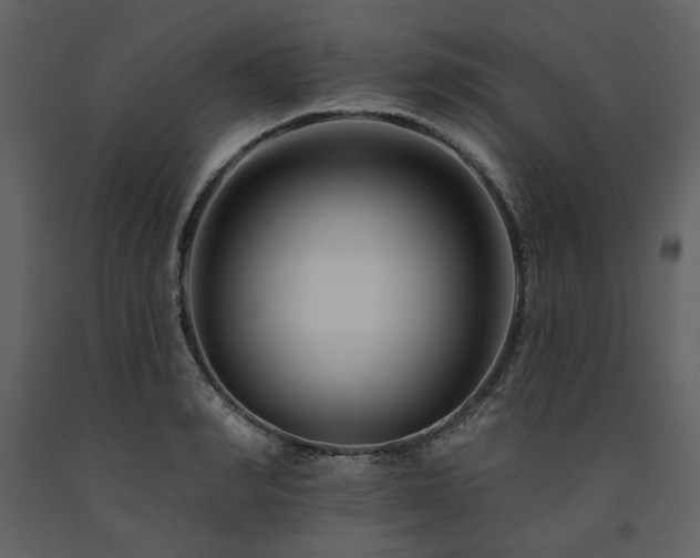 X0000091670990200708231325