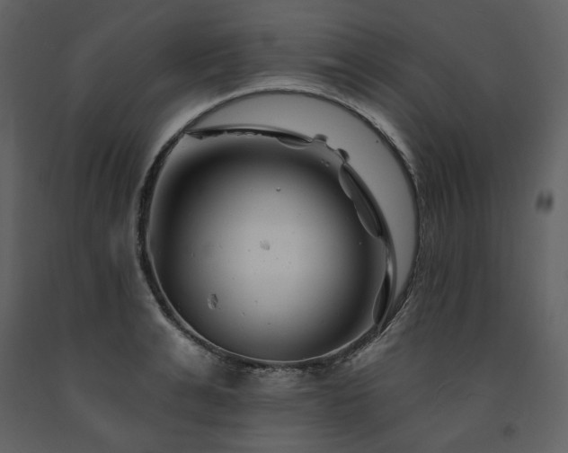 X0000091670991200708231325