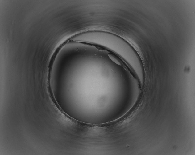 X0000091670992200708231325