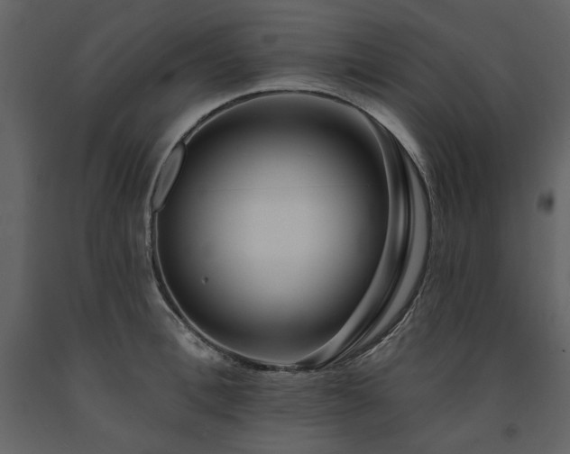 X0000091670996200708231325