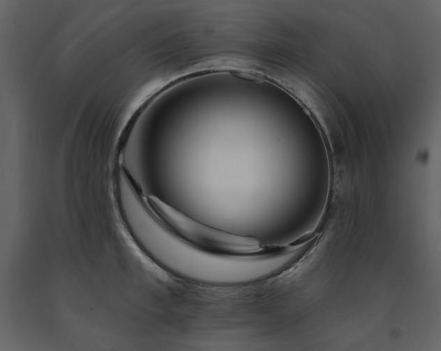X0000091670997200708231325