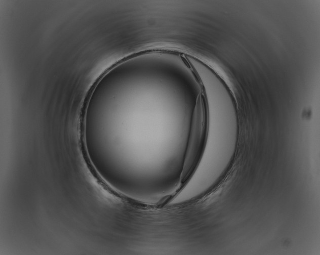 X0000091670999200708231325