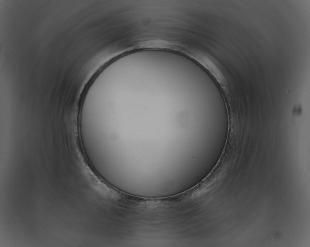 X0000091671000200708231325