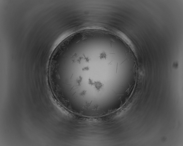 X0000091671002200708231325