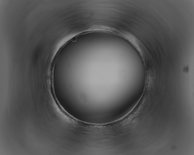 X0000091671003200708231325