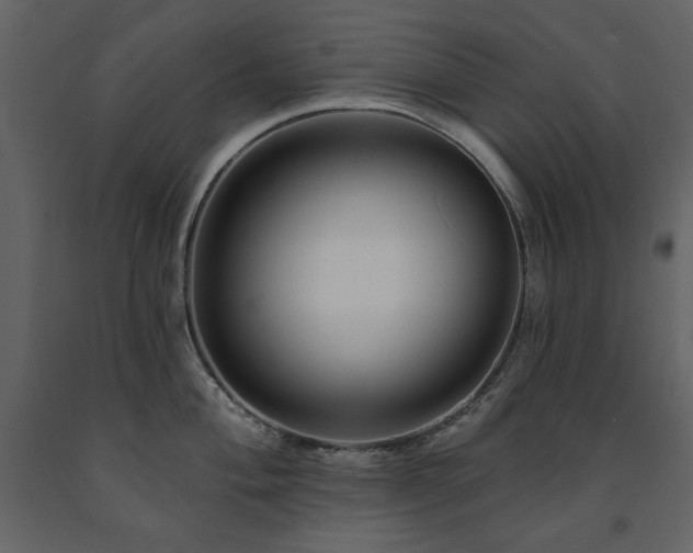 X0000091671004200708231325