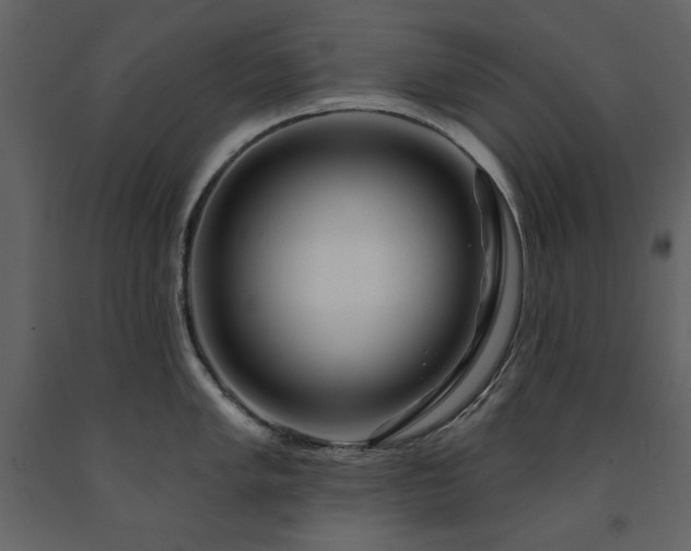 X0000091671005200708231325