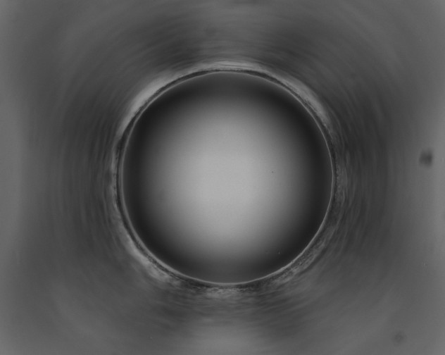 X0000091671006200708231325