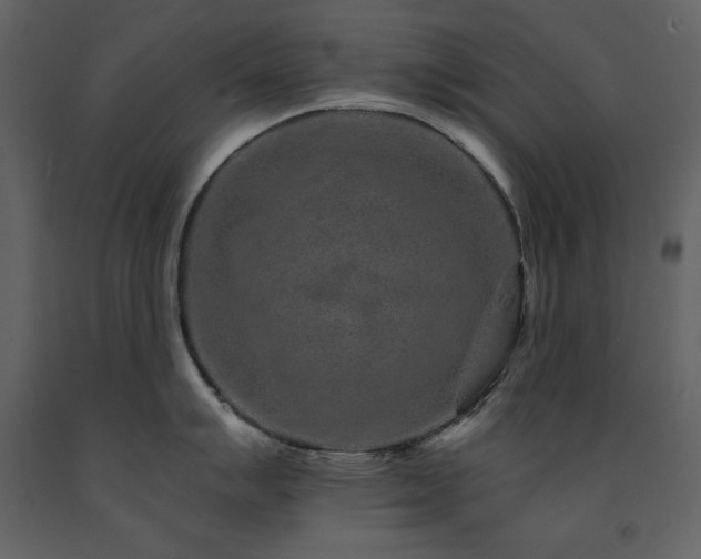 X0000091671007200708231325