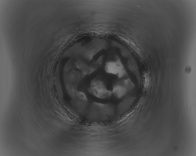X0000091671009200708231324