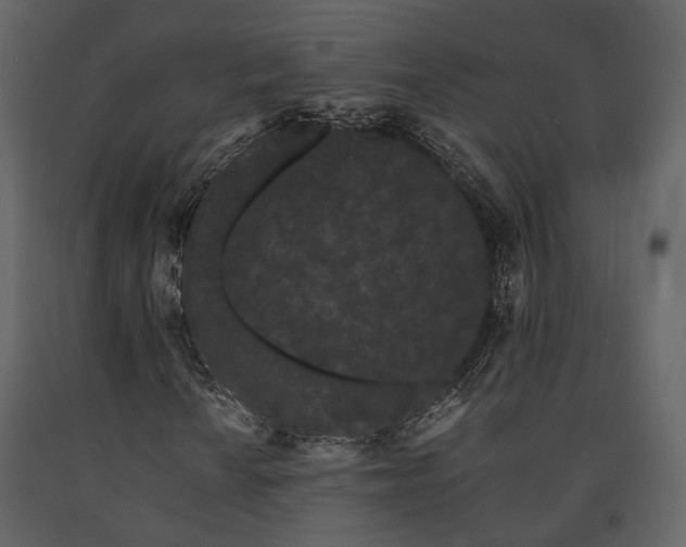 X0000091671010200708231324