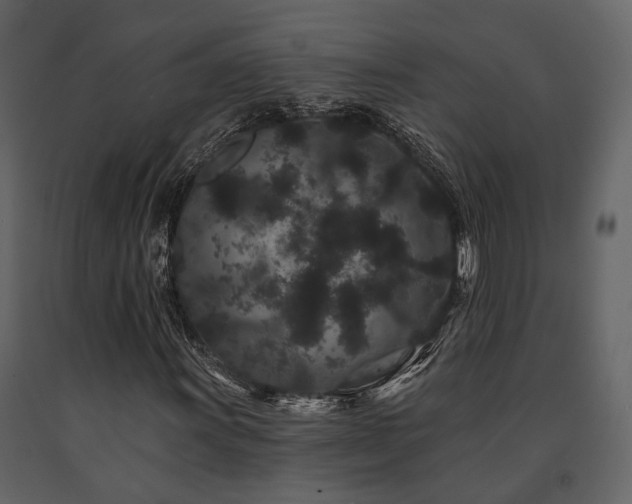 X0000091671011200708231324