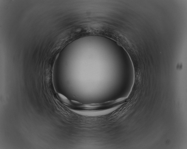 X0000091671012200708231324