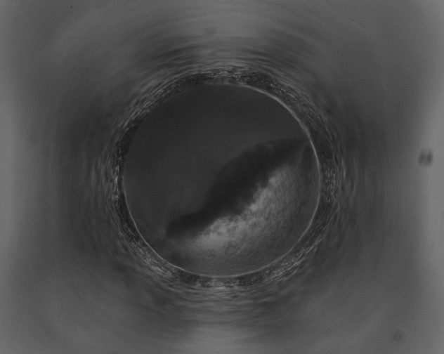 X0000091671013200708231324