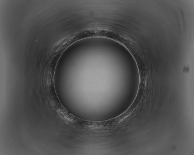 X0000091671014200708231324