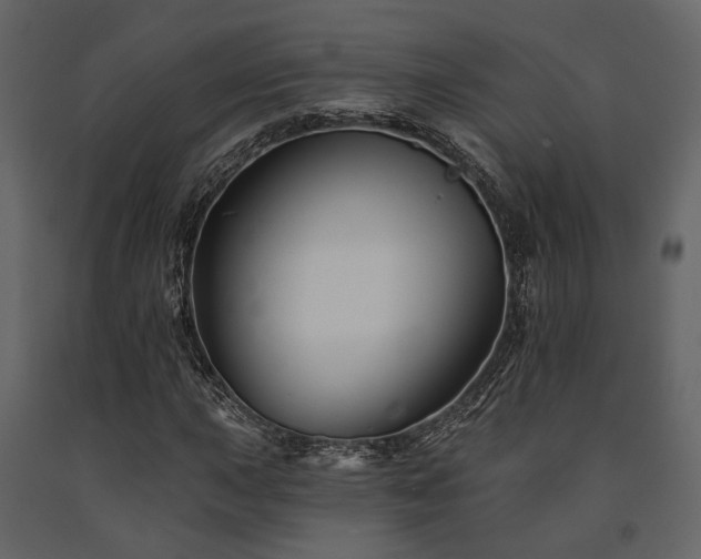 X0000091671015200708231324