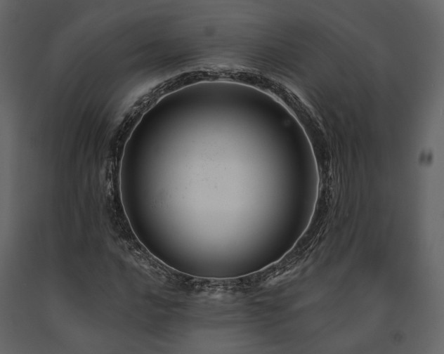 X0000091671016200708231324