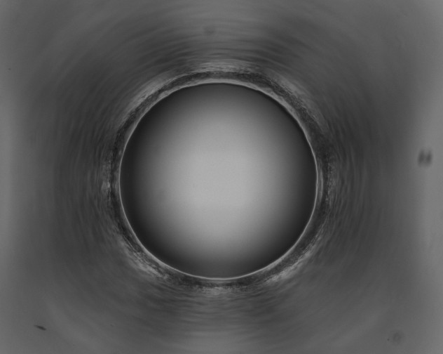 X0000091671017200708231324
