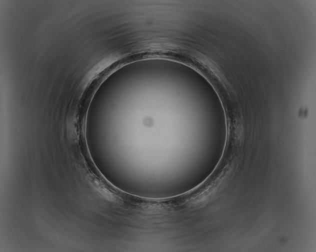X0000091671018200708231324