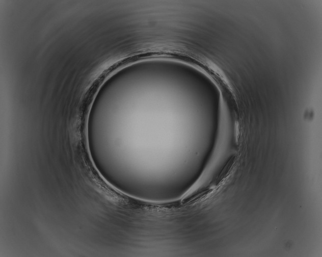 X0000091671019200708231324