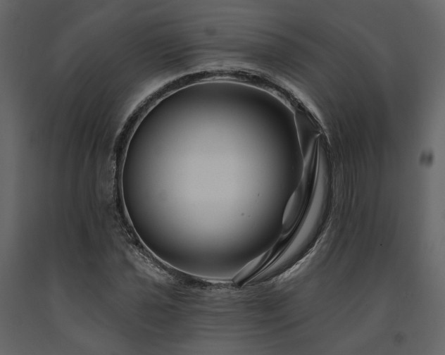 X0000091671021200708231324