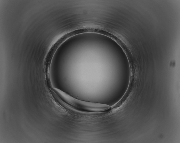 X0000091671022200708231324