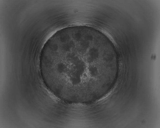 X0000091671023200708231324