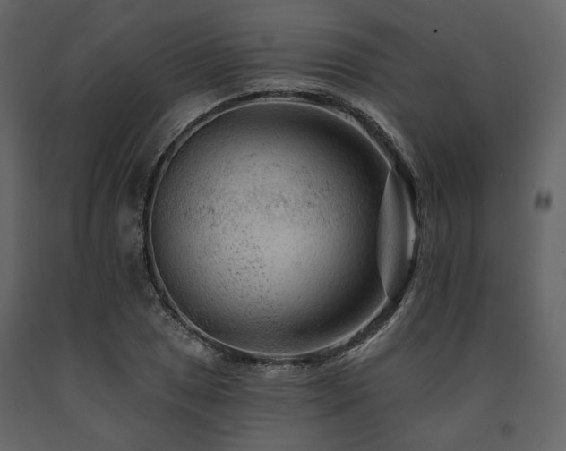 X0000091671025200708231324