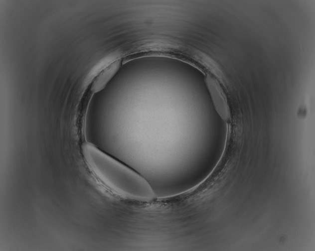 X0000091671026200708231324
