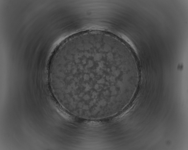 X0000091671027200708231324