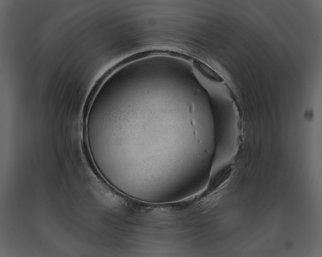 X0000091671028200708231324