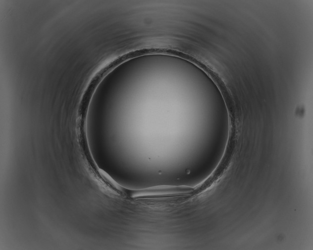 X0000091671029200708231324
